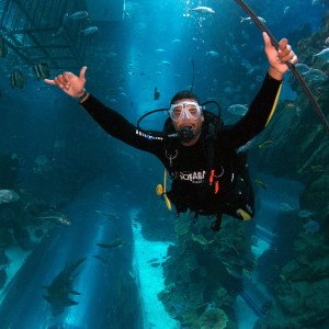 Dubai Mall Aquarium Certified Shark Diver