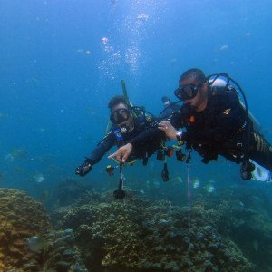 Discover Scuba Diving in Fujairah - 2 Dives