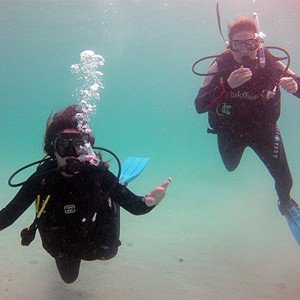 Discover Scuba Diving in Fujairah - 1 Dive