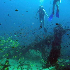 دورة PADI Wreck Diver التخصصية