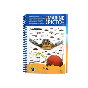 Pictolife Fish Id Guide Book for Red  Sea and Indian Ocean